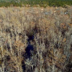 Photo of UNDER CONTRACT!!  21 Acres of Residential and Hunting Land in Pender County NC!