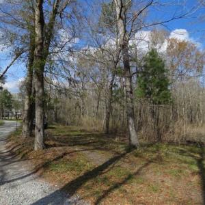 Photo of UNDER CONTRACT!!  21 Acres of Residential and Hunting Land in Pender County NC!