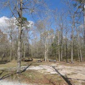 Photo of UNDER CONTRACT!!  21 Acres of Residential and Hunting Land in Pender County NC!