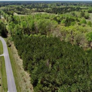 Photo of SOLD!!  36 Acres of  Timber Land For Sale in Pitt County NC!