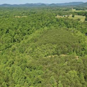 Photo of SOLD!!  24 Acres of Hunting and Recreational Land For Sale in Bedford County VA!