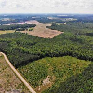 Photo of SOLD!!  245 Acres of Hunting Land with Cabin for Sale in Gates County NC!