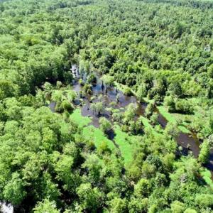 Photo of SOLD!!  36.5 Acres of Riverfront Hunting Land in Craven County NC!