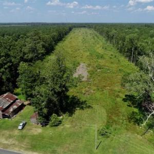 Photo of SOLD!!  23 Acres Hunting and Timber Land For Sale in Perquimans County NC!