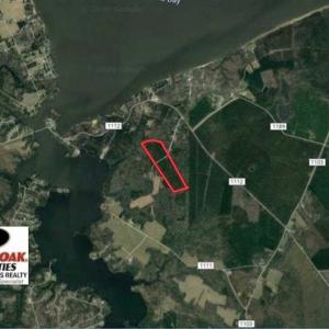 Photo of SOLD!!  33.41 Acres of Hunting and Timber Land For Sale in Beaufort County NC!