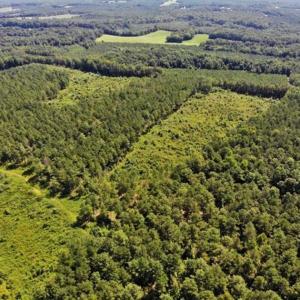 Photo of SOLD!!  9.09 Acres of Residential Farm Land For Sale in Halifax County NC!