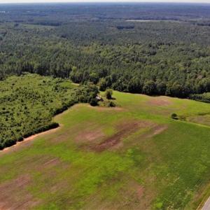 Photo of SOLD!!  9.09 Acres of Residential Farm Land For Sale in Halifax County NC!