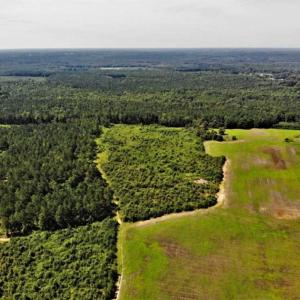 Photo of SOLD!!  9.06 Acres of Residential Farm Land For Sale in Halifax County NC!