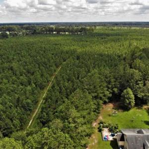 Photo of SOLD!!  105 Acres of Hunting and Timber Land For Sale in Northampton County NC!