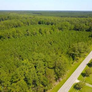 Photo of 72 Acres of Timber and Hunting Land For Sale in Bertie County NC!