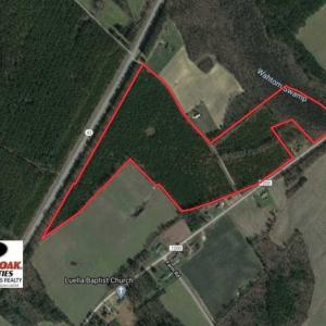 Photo of 72 Acres of Timber and Hunting Land For Sale in Bertie County NC!