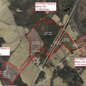 Photo of 72 Acres of Timber and Hunting Land For Sale in Bertie County NC!