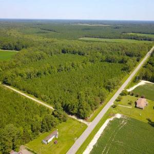 Photo of 72 Acres of Timber and Hunting Land For Sale in Bertie County NC!