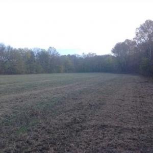 Photo of SOLD!!  36 Acres of Hunting Land for Sale in Halifax County VA!