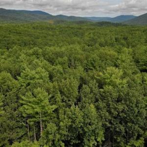 Photo of SOLD!!  7.5 Acres of Residential and Hunting Land For Sale in Amherst County VA!