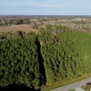 Photo of SOLD!!  22.72 Acres of Recreational Timberland For Sale in Washington County NC!