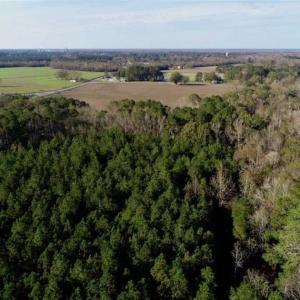 Photo of SOLD!!  22.72 Acres of Recreational Timberland For Sale in Washington County NC!