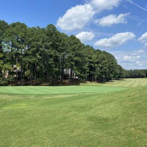 Morton Golf Course View 2