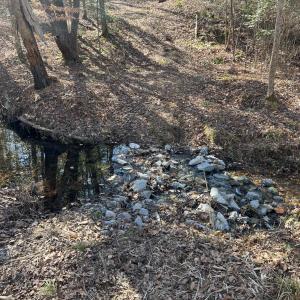 IMG_8906 - Creek with Stones