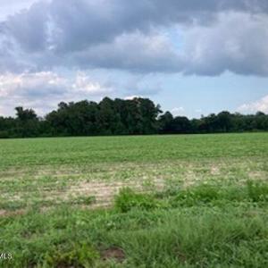 Waycross Farmland 2