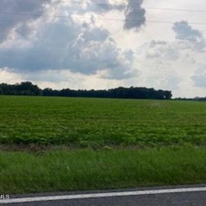 Waycross Farmland Front