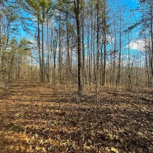 Caswell Co. NC 33.51-Backwoods-Lot 6-23