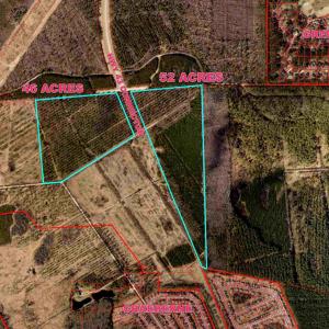 46 Acres Savoy Dr