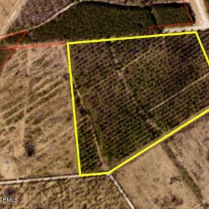 46 Acres Savoy Dr