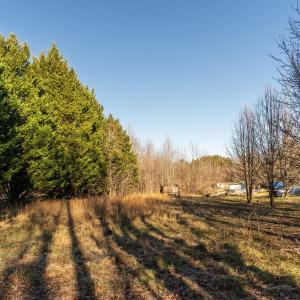 11 723_BuckhornRd TreeLine