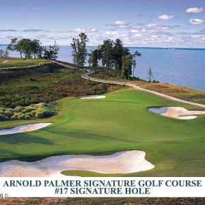 17th GREEN - ARNOLD PALMER COURSE