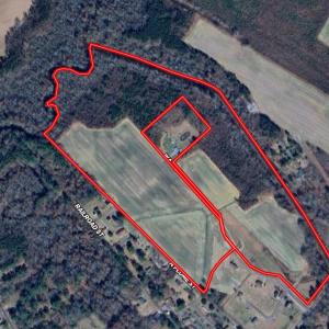 Prime 70+ Acres for Development in Roper