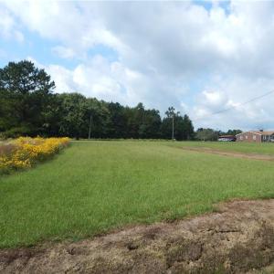 Photo #6 of 11815 CAMP POND Road, Suffolk, Virginia 1.0 acres