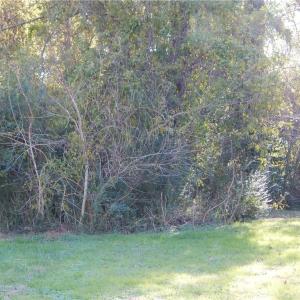Photo #1 of 6341 OLD TOWNPOINT Road, Suffolk, Virginia 0.3 acres