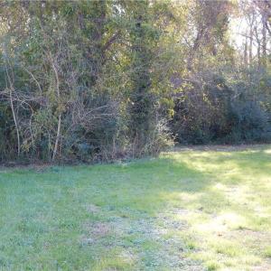 Photo #3 of 6341 OLD TOWNPOINT Road, Suffolk, Virginia 0.3 acres