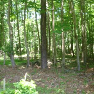 Photo #20 of 1809 Battlefield Boulevard, Chesapeake, Virginia 5.1 acres