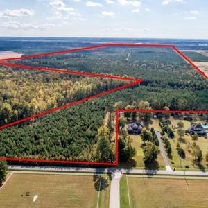 Photo #3 of 773AC Baum Road, Virginia Beach, Virginia 773.0 acres