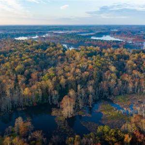 Aerial view of the property from Diacsund Creek with the Chickahominy River in the background