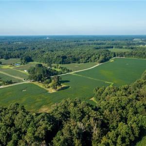Photo #8 of 13.6 A KINGS FORK Road, Suffolk, Virginia 13.6 acres