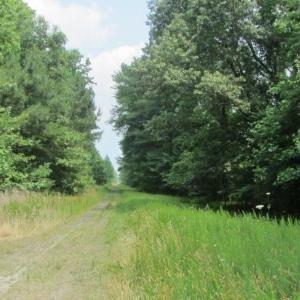 Photo #4 of 52ac Logan Road, Suffolk, Virginia 51.3 acres