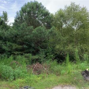 Photo #1 of 4.68ac Townpoint Road, Suffolk, Virginia 4.7 acres