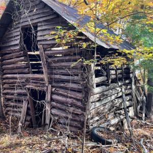 Photo #6 of 1928 Frye, Westfield, NC 77.0 acres