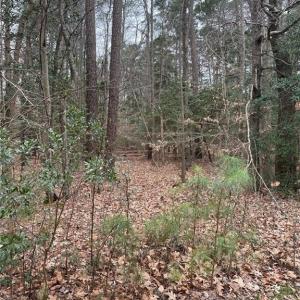 Photo #3 of 420 Yorkville Road, Yorktown, Virginia 15.8 acres