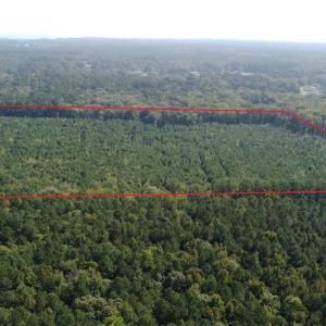 Photo #8 of 33+ac Pine Hall Road, Mathews, Virginia 33.2 acres