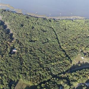 Photo #12 of 19+ac High Bluff Lane, Barhamsville, Virginia 19.9 acres