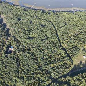 Photo #8 of 19+ac High Bluff Lane, Barhamsville, Virginia 19.9 acres