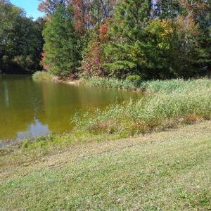 Photo #3 of 1445 Mogarts Beach Road, Smithfield, Virginia 17.9 acres