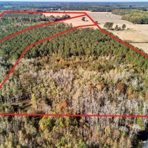 Photo #2 of 50 AC MINERAL SPRING Road, Suffolk, Virginia 50.3 acres