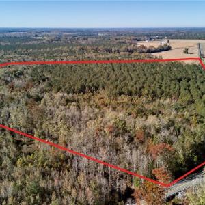 Photo #11 of 50 AC MINERAL SPRING Road, Suffolk, Virginia 50.3 acres