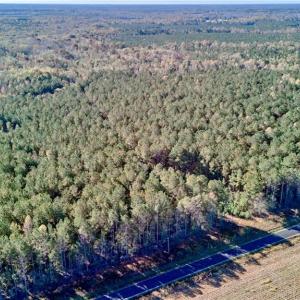 Photo #4 of 50 AC MINERAL SPRING Road, Suffolk, Virginia 50.3 acres