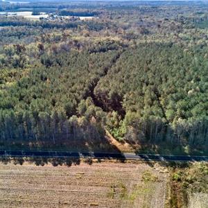 Photo #5 of 50 AC MINERAL SPRING Road, Suffolk, Virginia 50.3 acres